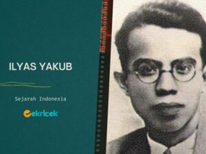 Ilyas Yakub adalah Adalah seorang tokoh Permi. Ia pernah menjabat sebagai Ketua Departemen Pendidikan di Permi. Ilyas Yakub dilahirkan di Asamkumbang, Painan, Sumatra Barat pada 14 Juni 1903.