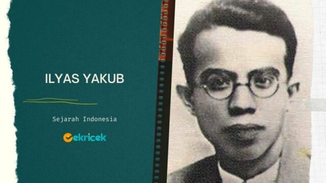 Ilyas Yakub adalah Adalah seorang tokoh Permi. Ia pernah menjabat sebagai Ketua Departemen Pendidikan di Permi. Ilyas Yakub dilahirkan di Asamkumbang, Painan, Sumatra Barat pada 14 Juni 1903.