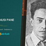 Sanusi Pane adalah salah seorang penyair terkemuka di Indonesia. Ia lahir pada 14 November 1905 di Muara Sipongi, Tapanuli Selatan. Ia adalah saudara kandung dari Armijn Pane dan Lafran Pane.