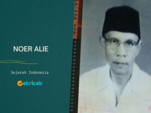 Noer Alie adalah tokoh yang berperan dalam membentuk organisasi Persatuan Pelajar Betawi. Pasca proklamasi kemerdekaan Indonesia, Noer Ali terpilih menjadi Ketua Komite Nasional Indonesia Daerah Kecamatan Babelan, Bekasi.