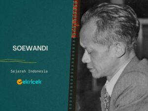Soewandi atau Raden Soewandi adalah salah satu anggota Badan Penyelidik Usaha Persiapan Kemerdekaan Indonesia (BPUPKI) yang pernah menjabat sebagai Menteri Kehakiman di Kabinet Sjahrir I dan II (1945-1946), sebelum digantikan oleh R. Soesanto Tirtoprodjo.