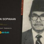 Manai Sophiaan adalah seorang politikus. Karier politiknya berawal dari seorang Jurnalis dalam harian pewarta di Sulawesi dan menjadi Pemimpin Redaksi Suluh Indonesia dan Suluh Marhaen. Setelah itu, menjadi Dewan Gementee periode 1933-1945 dan menjadi anggota Badan Pekerja Komite Nasional Indonesia Pusat (BP-KNIP) pada 1946-1950.