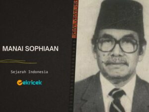 Manai Sophiaan adalah seorang politikus. Karier politiknya berawal dari seorang Jurnalis dalam harian pewarta di Sulawesi dan menjadi Pemimpin Redaksi Suluh Indonesia dan Suluh Marhaen. Setelah itu, menjadi Dewan Gementee periode 1933-1945 dan menjadi anggota Badan Pekerja Komite Nasional Indonesia Pusat (BP-KNIP) pada 1946-1950.