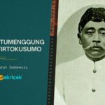 Raden Tumenggung Ario Tirtokusumo adalah salah satu pendiri organisasi Boedi Oetomo. Ario Tirtokusumo bukan hanya seorang pendiri dari organisasi modern pertama di Hindia-Belanda tersebut, melainkan juga seorang Ketua Boedi Oetomo yang pertama.