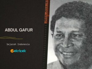 Abdul Gafur adalah seorang dokter lulusan Universitas Indonesia. Ia lahir di Halmahera 20 Juni 1938. Karier pekerjaannya pernah bekerja di rumah sakit Angkatan Malang, dokter AURI, pernah bekerja sebagai dokter di RSAU Surabaya, kemudian menjadi anggota DPR RI dari fraksi TNI, juga anggota MPR (1972-2004). Juga menjadi Menteri Pemuda dan Olahraga (1983-1988), anggota DPA RI (1988-1997).