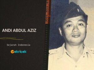 Andi Abdul Aziz adalah Lahir di Simpangbinangal, kabupaten Barru, Sulawesi Selatan 19 September 1924. Pada 1935 ia memasuki Leger School dan tamat 1938 lalu meneruskan ke Lyceum sampai 1944.
