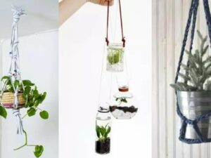 Cekricek.id – Tanaman gantung adalah salah satu metode yang bisa digunakan untuk menata dan mempercantik suasana rumah, baik itu di dalam ataupun di luar ruangan. ada banyak ide menarik dan kreatif yang bisa dilakukan untuk menata tanaman gantung supaya terlihat semaki estetis.