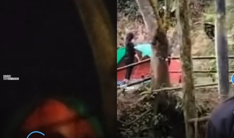 Mesum di Dalam Tenda di Hutan