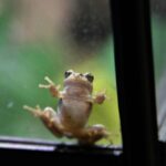 Pengertian Biologi, Asal Mula Kehidupan, dan Ciri-ciri Makhluk Hidup Menurut Ilmu Biologi
