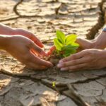 Istilah-istilah dalam Perubahan Iklim - Istilah-istilah dalam lingkungan hidup