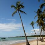 Istilah-istilah dalam Kemaritiman dan Investasi