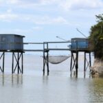 Istilah-istilah dalam Kemaritiman dan Investasi
