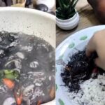 Cekricek.id - Resep cumi tinta hitam menjadi salah satu menu rekomendasi para ibu di rumah. Sebab, masakan ini tidak membutuhkan terlalu banyak bahan-bahan atau bumbu tambahan.