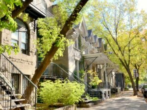 Cekricek.id - Jika berkunjung ke daerah Montreal, ada hal yang begitu menarik, yaitu tangga yang dibuat di luar rumah, simak faktanya