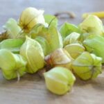Dulu Dianggap Tumbuhan Liar, Ini Manfaat Buah Ciplukan yang Bisa di jual dengan Harga Selangit