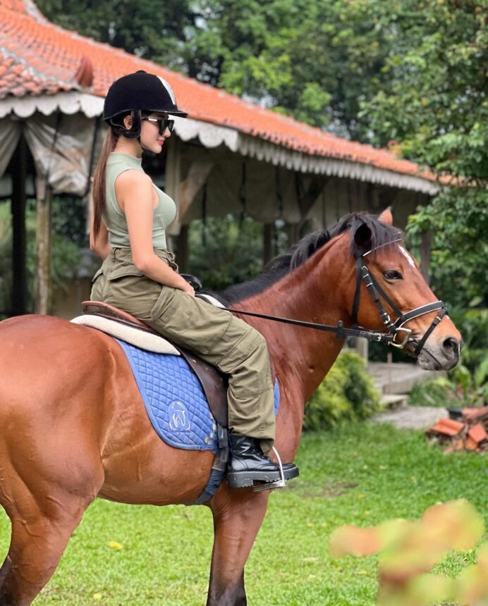 Lampiran Gambar