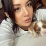 Cekricek.id - Wajah cantik dari seorang penyanyi Aurelie Moeremans dipuji lucu. Hal ini bahkan dianggap sama dengan hewan kesayangannya