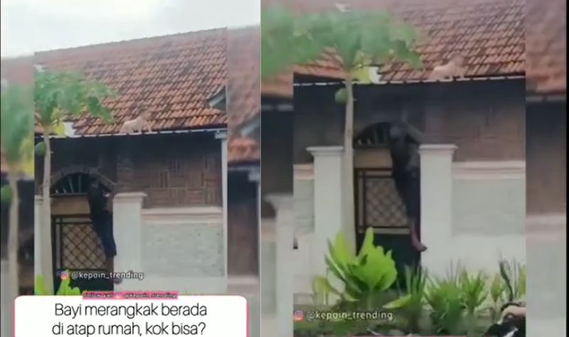 Lampiran Gambar