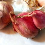 Cekricek.id - Manfaat Kulit Bawang Sebagai Pestisida Alami