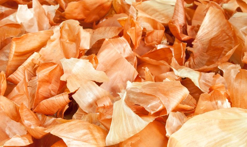 Manfaat Kulit Bawang Sebagai Pestisida Alami
