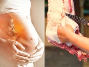 Suami tidak boleh membunuh hewan saat istri hamil. Dalam pandangan Islam ternyata keyakinan tersebut tidaklah benar, begini penjelasannya.