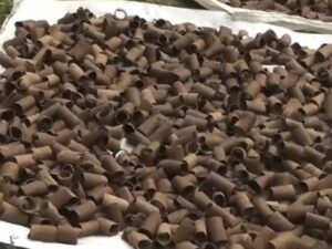 Cekricek.id, Kuliner - Aneh tapi ajaib ternyata ada 4 makanan yang bersumber dari tanah dengan proses pembuatan uniknya