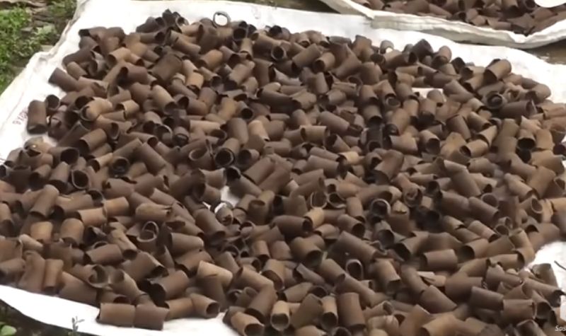 Cekricek.id, Kuliner - Aneh tapi ajaib ternyata ada 4 makanan yang bersumber dari tanah dengan proses pembuatan uniknya