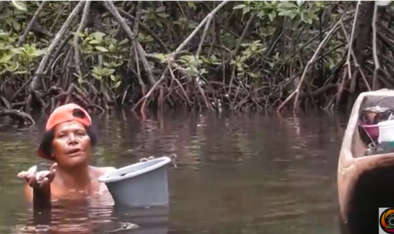 Cekricek.id, Objek Wisata -  Unik Banget, di Papua Ada Hutan Perempuan, Pria Dilarang Masuk