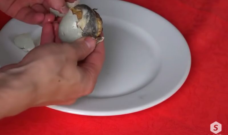 Cekricek.id, Kuliner - 4 Makanan Aneh dari Berbagai Dunia, Telur Perjaka Hingga Telur 1000 Tahun, Yakin Berani Cicipi?