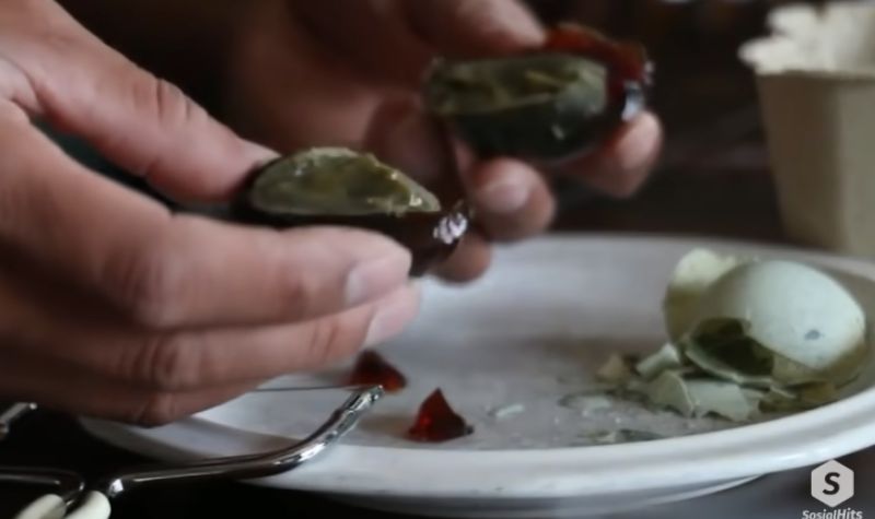 Cekricek.id, Kuliner - 4 Makanan Aneh dari Berbagai Dunia, Telur Perjaka Hingga Telur 1000 Tahun, Yakin Berani Cicipi?