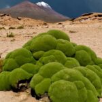 Cekricek.id, Objek Wisata - Ternyata ada sejumlah tempat di bumi ini yang malah mirip planet lain. Apa aja sih? simak selengkapnya