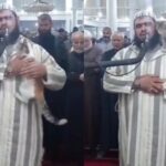 Cekricek.id, Berita Viral – Seekor kucing belang tiga berhasil menggemparkan jagat dunia maya setelah video aksinya melompat ke dekapan imam salat tarawih menjadi viral. Hewan berkaki empat dengan bulu dominan putih ditambah bercak oren dan abu-abu ini justru mendapat sambutan hangat dari sang imam.