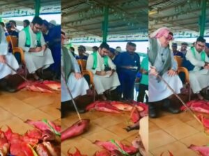 Cekricek.id , Berita Viral– Ikan Syarifi adalah ikan asal Arab dengan harga satu ekornya yang fantastis. Hewan air yang satu ini juga sering disajikan pada perayaan hari-hari istimewa, namun ada satu fakta lainnya lagi yang mengejutkan dari jenis ikan yang satu ini. Untuk mendapatkannya, orang-orang harus membeli dengan cara ikut pelelangan.