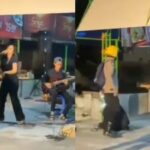 Cekricek.id, Berita Viral – Organ tunggal memang ampuh membuat orang-orang asyik berjoget hingga lupa waktu. Tak ada yang salah memainkannya di dalam pergelaran sebuah acara, namun bukan berarti di saat orang-orang sedang salat tarawih di masjid pada bulan Ramadhan.