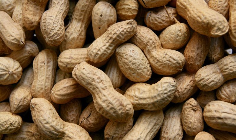 Cekricek.id, Kesehatan - Ternyata ada sejumlah makanan paling bagus untuk diabetes. Karena memang tidak bisa mengkonsumsi sembarangan