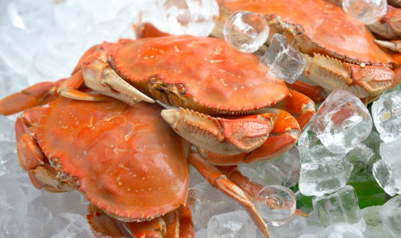 Cekricek.id, Kuliner - Ternyata ada sejumlah tips cara membersihkan kepiting sebelum diolah. Mudah banget dan gak ribet untuk dilakukan