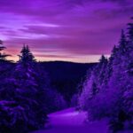 Cekricek.id, Objek Wisata - Pemandangan berupa langit ungu ternyata tidak selamanya memberikan kesan cantik dan indah.