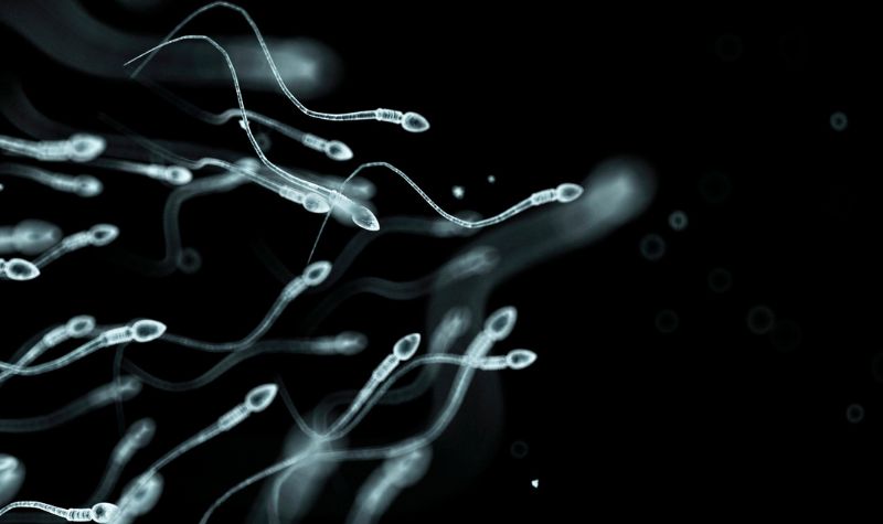Cekricek.id, Kesehatan - Para pria wajib mengetahui hal yang dapat merusak sperma. Ini termasuk kebiasaan yang harus dikurangi