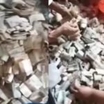 Cekricek.id, Berita Viral - Lagi viral seorang kakek di Serang yang punya uang lama sebanyak per karung-karung, sampai dibantu tetangga