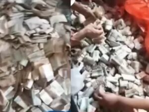 Cekricek.id, Berita Viral - Lagi viral seorang kakek di Serang yang punya uang lama sebanyak per karung-karung, sampai dibantu tetangga