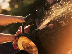 Cekricek.id - Gergaji mesin alias chainsaw adalah salah satu barang barang yang hampir selalu ada di film-film horor. Adegan pembunuhan dengan alat yang satu ini sukses menjadi tontonan mengerikan yang akan membuat bulu berdiri. Penanda adegan mengerikan itu terletak pada bunyi mesinnya yang besar dan menakutkan.
