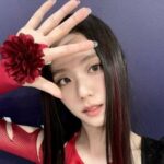 Cekricek.id, Berita Seleb dan Berita Artis – Jisoo Blackpink berhasil mengguncang dunia musik dengan lagu debut solonya yang berjudul Flower. Bukan hanya pecinta Kpop, orang biasa pun tahu dengan lagu tersebut. Terlebih pada challenge menari yang akhir-akhir ini viral di media sosial.