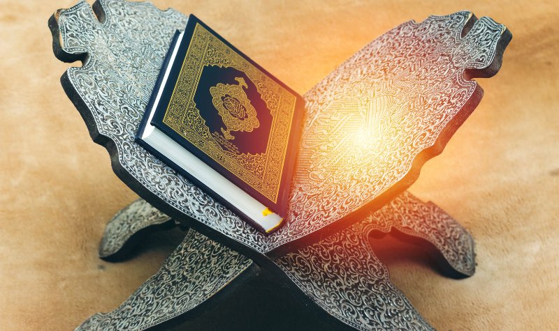 Cekricek.id, Portal Islam - Gerombolan Sapi Ini Terperangah Mendengar Lantunan Surat Al-Baqarah