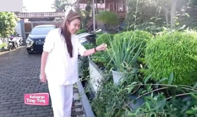 Cekricek.id, berita seleb dan berita arti - Penampakan Vila Mewah Ayu Ting Ting, Dilengkapi Taman dan Kolam Renang