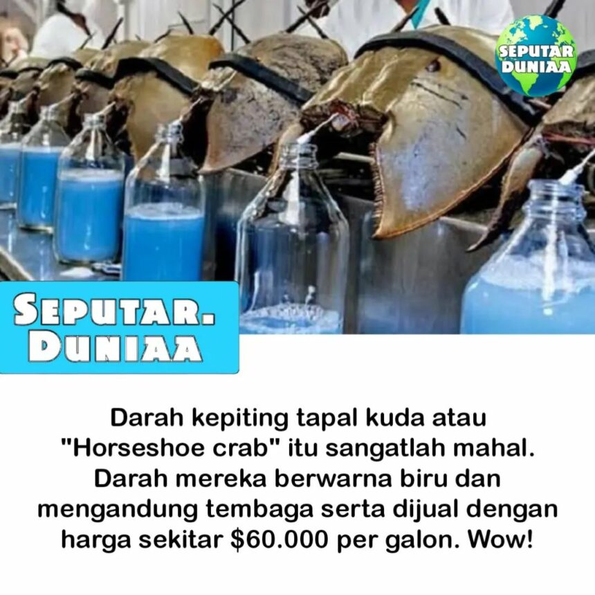 Lampiran Gambar