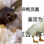 Viral Sekolah Bantah Ada Kepala Tikus dalam Makanan Siang: Itu Kepala Bebek