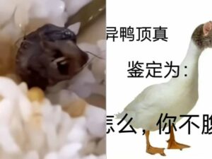 Viral Sekolah Bantah Ada Kepala Tikus dalam Makanan Siang: Itu Kepala Bebek