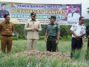 Kodim 0307/Tanah Datar Mengadakan Panen Raya Bawang Merah yang Dihadiri Oleh Wali Kota Padang Panjang Fadly Amran