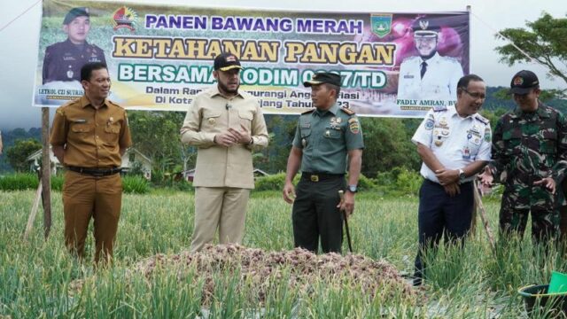 Kodim 0307/Tanah Datar Mengadakan Panen Raya Bawang Merah yang Dihadiri Oleh Wali Kota Padang Panjang Fadly Amran