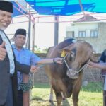 Hewan Kurban Presiden Jokowi dan Gubernur Mahyeldi Ansharullah Dibagikan kepada 800 KK di Sekitar Masjid Raya Sumbar